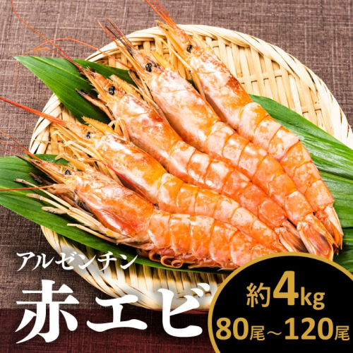 B379.【お刺身用】有頭赤海老4kg（約80〜120尾入） 2154459 - 福岡県新宮町