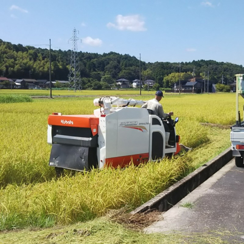 京都・峰山長岡産 丹後こしひかり 玄米10kg
 2154884 - 京都府京丹後市