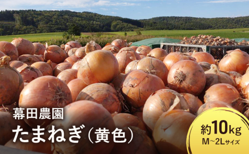 【2025年先行受付】富良野産 黄色 玉ねぎ 約10kg（約30～40玉） M～2Lサイズ　野菜 新鮮 直送 黄玉ねぎ 玉葱 玉ネギ 道産 北海道 富良野市 ふらの 幕田農園 2154890 - 北海道富良野市