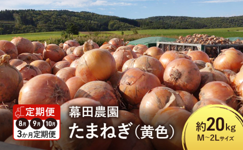 【2026年先行受付】［3か月定期便］富良野産 黄色 玉ねぎ 約20kg（約75～80玉） M～2Lサイズ　野菜 新鮮 直送 黄玉ねぎ 玉葱 玉ネギ 道産 北海道 富良野市 ふらの 幕田農園 2154931 - 北海道富良野市