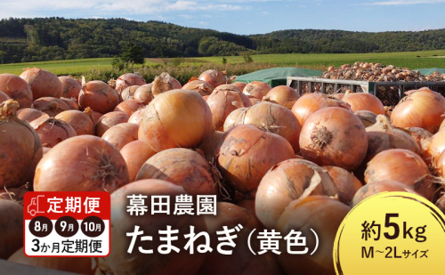 【2026年先行受付】［3か月定期便］富良野産 黄色 玉ねぎ 約5kg（約15～20玉） M～2Lサイズ　野菜 新鮮 直送 黄玉ねぎ 玉葱 玉ネギ 道産 北海道 富良野市 ふらの 幕田農園 2154955 - 北海道富良野市