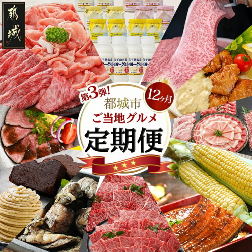 【セレクト定期便】第3弾☆都城市ご当地グルメ定期便(12ヶ月)≪2026年お届け≫_T180-MY01 2154958 - 宮崎県都城市