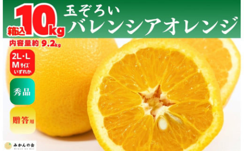 バレンシアオレンジ 国産 玉ぞろい 秀品 箱込 10kg (内容量 9.2kg ) 2L L M サイズのいずれか 和歌山県産 産地直送【みかんの会】 2154966 - 和歌山県有田川町