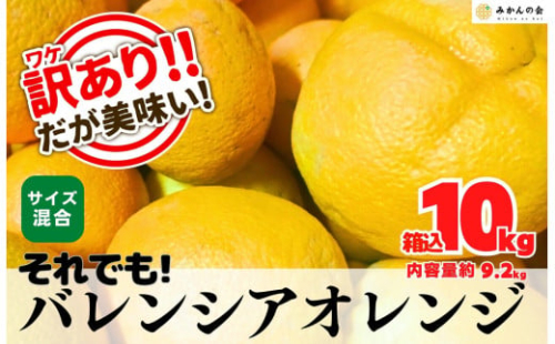 訳あり バレンシアオレンジ  国産 箱込 10kg (内容量 9.2kg ) サイズミックス 和歌山県産 産地直送 みかんの会 2155032 - 和歌山県有田川町