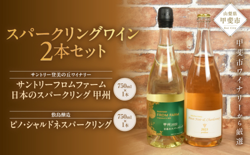 甲斐市産スパークリングワイン2本セット　ワイン 家飲み スパークリング 日本ワイン 山梨ワイン 定番 テーブルワイン お酒 SUNTORY 甲州 飲み比べ 山梨県 甲斐市 AD-296 2155036 - 山梨県甲斐市