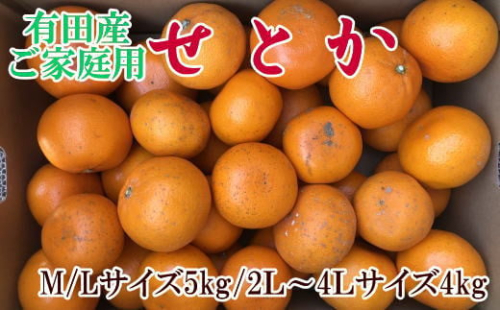 (訳あり・ご家庭用)一度は食べていただきたい「有田産のせとか」約4kg～5kg　※2026年2月中旬～2026年3月上旬頃に順次発送【TM-tecj1032】 2155086 - 和歌山県かつらぎ町