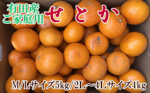 (訳あり・ご家庭用)一度は食べていただきたい「有田産のせとか」約4kg～5kg ※2026年2月中旬～3月上旬頃に順次発送予定 2155152 - 和歌山県美浜町