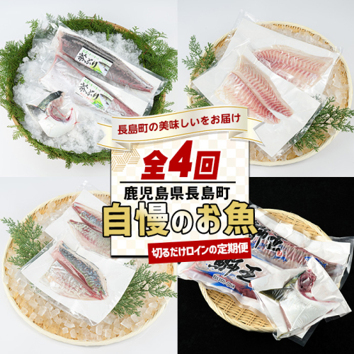 ＜定期便・毎月発送全4回＞ 長島町自慢のお魚定期便(ロイン) 全4回 nagashima-1515 2155196 - 鹿児島県長島町