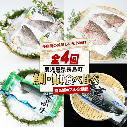 ＜定期便・毎月発送全4回＞ 鯛と鰤の食べ比べ定期便(フィレ) 全4回 長島町特産 nagashima-1514 2155197 - 鹿児島県長島町