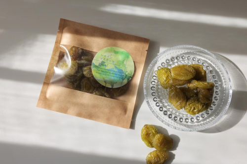 サントリー登美の丘ワイナリー〈SUNTORY FROM FARM　甲州　日本の白&SDGsドライシャインマスカット詰め合わせ〉 2155203 - 山梨県甲斐市