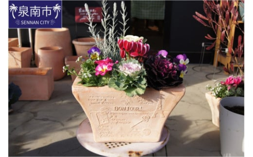 季節の花の寄せ植え 35cm ピック付き【005C-007】 215523 - 大阪府泉南市