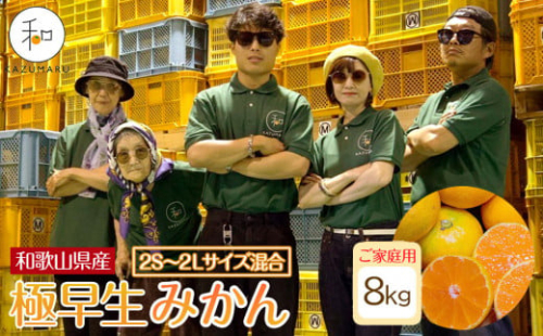 家庭用 森本農園の手選別 極早生みかん 約8kg 和歌山県産 2S～2Lサイズ混合 ［北海道・沖縄・離島配送不可］［RN40］［2025年10月上旬から順次発送］ 2155242 - 和歌山県那智勝浦町