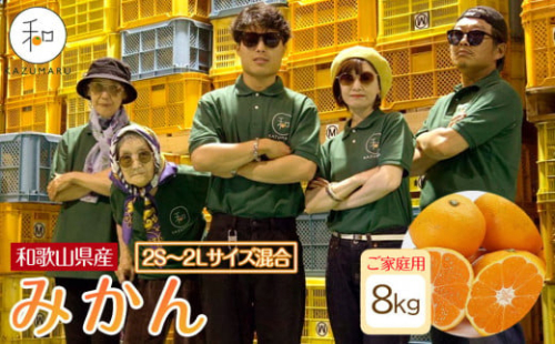 家庭用 森本農園の手選別 みかん 約8kg 和歌山県産 2S～2Lサイズ混合 ［北海道・沖縄・離島配送不可］［RN42］［2025年11月上旬から順次発送］ 2155244 - 和歌山県那智勝浦町