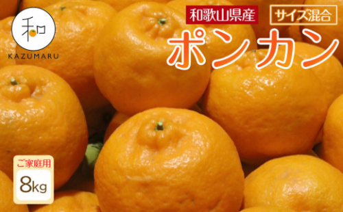 家庭用 森本農園の手選別 ポンカン 約8kg 和歌山県産 サイズ混合 ［北海道・沖縄・離島配送不可］［RN44］［2026年1月上旬から順次発送］ 2155246 - 和歌山県那智勝浦町