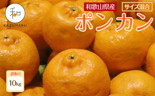 訳あり 森本農園の手選別 ポンカン 約10kg 和歌山県産 サイズ混合 ［北海道・沖縄・離島配送不可］［RN45］［2026年1月上旬から順次発送］ 2155247 - 和歌山県那智勝浦町