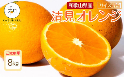 家庭用 森本農園の手選別 清見オレンジ 約8kg 和歌山県産 サイズ混合 ［北海道・沖縄・離島配送不可］［RN48］［2026年2月上旬から5月中旬頃順次発送予定］ 2155250 - 和歌山県那智勝浦町