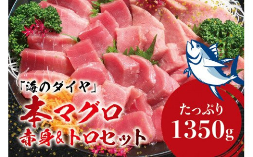 本マグロ（養殖）トロ＆赤身セット 1350g ＜7月発送＞ / 高級 クロマグロ 中トロ 中とろ 大トロ 大とろ まぐろ マグロ 鮪 刺身 赤身 柵 じゃばらまぐろ 本マグロ 本鮪【nks111B-7】 2155313 - 和歌山県紀美野町