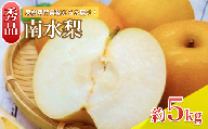 【9月上旬から発送予定】南信州生まれのジューシーで甘い梨「南水梨」 約5kg 12～14玉 糖度14.0以上 | 果物 くだもの フルーツ 南水梨 梨 なし ナシ 新鮮 長野県 信州 南信州 飯田市