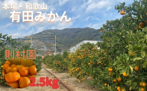 則村園産 有田みかん 約2.5kg 2155390 - 和歌山県有田川町