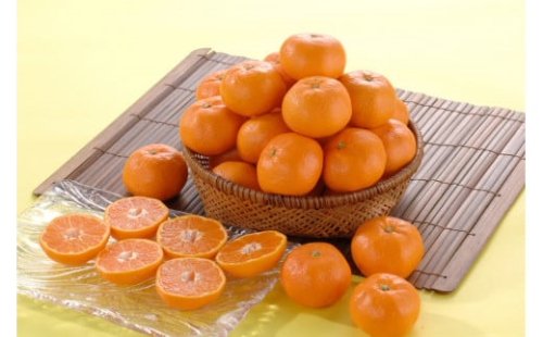 則村園産 有田みかん 約4kg 2155391 - 和歌山県有田川町