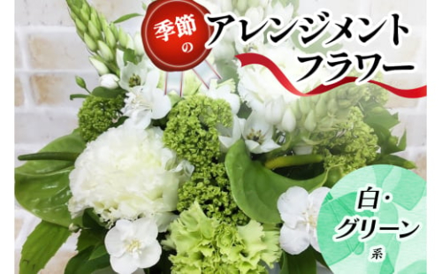 季節のアレンジメントフラワー白・グリーン系｜白・グリーン系 [0212] 2155427 - 大阪府交野市
