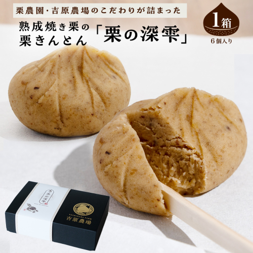 栗きんとん 「 栗の深雫 」 1箱 ～くりのしずく～ 6個 完熟 栗 くり クリ 和菓子 おかし お菓子 贈り物 ギフト 果物 フルーツ 秋 冬 [CX021ci] 2155435 - 茨城県筑西市