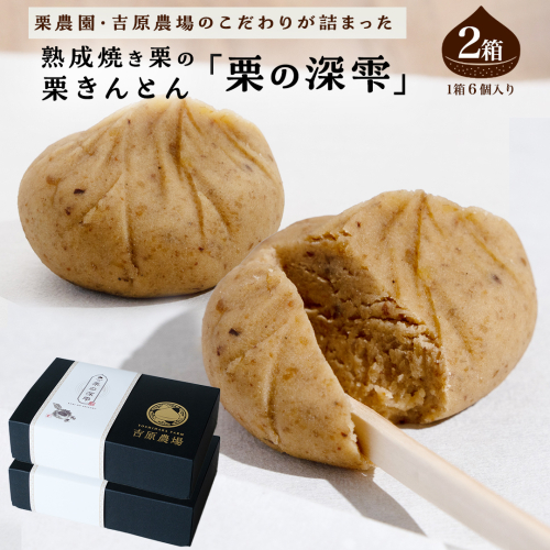 栗きんとん 「 栗の深雫 」 2箱 ～くりのしずく～ 12個 完熟 栗 くり クリ 和菓子 おかし お菓子 贈り物 ギフト 果物 フルーツ 秋 冬 [CX022ci] 2155438 - 茨城県筑西市