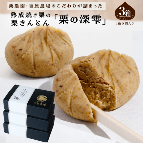 栗きんとん 「 栗の深雫 」 3箱 ～くりのしずく～ 18個 完熟 栗 くり クリ 和菓子 おかし お菓子 贈り物 ギフト 果物 フルーツ 秋 冬 [CX023ci]
 2155440 - 茨城県筑西市
