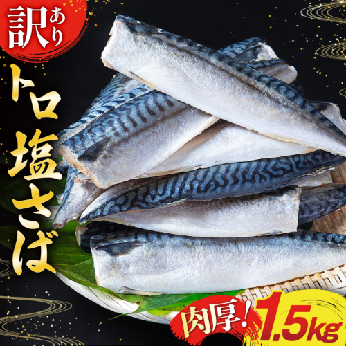 訳あり 塩サバ フィレ 1.5kg [足利本店 宮城県 気仙沼市 20565942] 魚介類 魚 海鮮 大容量 サバ さば 鯖 サバフィレ サバフィーレ 鯖フィレ 切り身 冷凍 訳アリ 訳あり わけあり トロサバ 減塩 とろさば 2155485 - 宮城県気仙沼市