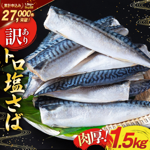 訳あり 塩サバ フィレ 1.5kg [足利本店 宮城県 気仙沼市 20565942] 魚介類 魚 海鮮 大容量 サバ さば 鯖 サバフィレ サバフィーレ 鯖フィレ 切り身 冷凍 訳アリ 訳あり わけあり トロサバ 減塩 とろさば 2155485 - 宮城県気仙沼市
