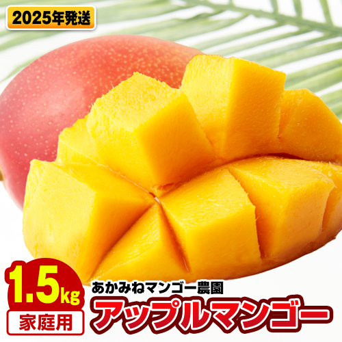 【2025年発送】あかみねマンゴー農園　家庭用アップルマンゴー1.5kg 2155490 - 沖縄県南風原町