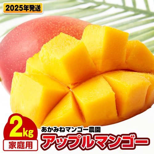 【2025年発送】あかみねマンゴー農園　家庭用アップルマンゴー2kg 2155491 - 沖縄県南風原町