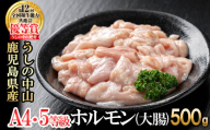 うしの中山 ホルモン(大腸)500g(500g×1袋) 黒毛和牛 和牛 肉 牛肉 国産 九州産 鹿児島県産 ホルモン 焼肉 日本一 p9-028