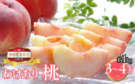 山梨県笛吹市産 ご家庭用桃(わけあり) 1kg 3玉〜4玉 223-015|ふるさと納税 人気 おすすめ ランキング もも 桃 国産 人気 期間限定 果物 フルーツ ギフト 贈り物 プレゼント 旬 山梨県 笛吹市 送料無料