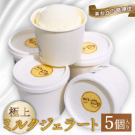 [大好評]濃厚 ミルクジェラート 5個 アイス アイスクリーム 家庭用 [rk044]