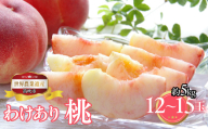 山梨県笛吹市産 ご家庭用桃(わけあり) 約5kg 12玉〜20玉 223-016|ふるさと納税 人気 おすすめ ランキング もも 桃 国産 人気 期間限定 果物 フルーツ ギフト 贈り物 プレゼント 旬 山梨県 笛吹市 送料無料