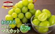 山梨県笛吹市産 わけありシャインマスカット 2kg以上 3房〜7房 223-017|ふるさと納税 人気 おすすめ ランキング シャインマスカット 国産 人気 期間限定 果物 フルーツ ギフト 贈り物 プレゼント 旬 山梨県 笛吹市 送料無料