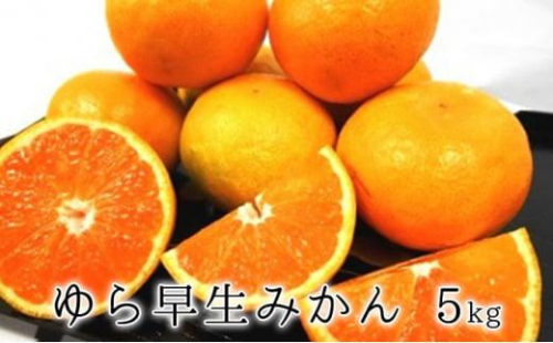 【2025年10月上旬より順次発送】甘みと酸味がギュッ ゆら早生みかん5kg 2155654 - 静岡県静岡市