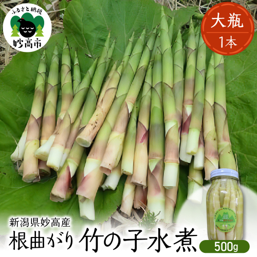妙高産根曲がり竹の子水煮【大瓶】 500g 2155715 - 新潟県妙高市