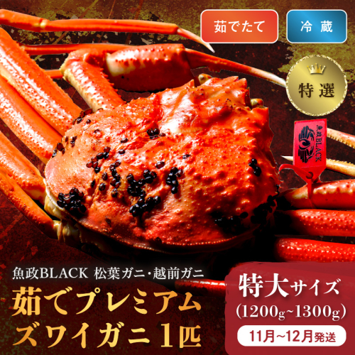 【蟹の匠 魚政】茹で　プレミアムズワイガニ 魚政BLACK（松葉ガニ・越前ガニ）特撰 特大サイズ（1200～1300g） 1匹(11月～12月発送)
 2155718 - 京都府京丹後市