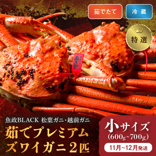 【蟹の匠 魚政】茹で　プレミアムズワイガニ 魚政BLACK（松葉ガニ・越前ガニ）特撰 小サイズ（600～700g） 2匹セット　(11月～12月発送)
 2155719 - 京都府京丹後市