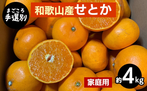 【まごころ手選別】和歌山産　せとか　約4kg 家庭用 ※2026年2月下旬～4月中旬頃より順次発送予定 2155771 - 和歌山県美浜町