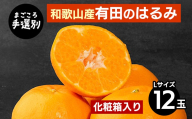 【まごころ手選別】和歌山産有田のはるみ　化粧箱入り　Lサイズ　12個入り ※2026年1月下旬～2月下旬頃より順次発送予定