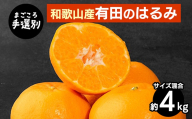 【まごころ手選別】和歌山産有田のはるみ　約4kg(サイズ混合) ※2026年1月下旬～2月下旬頃より順次発送予定