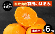 【まごころ手選別】和歌山産有田のはるみ　約6kg(家庭用) ※2026年1月下旬～2月下旬頃より順次発送予定