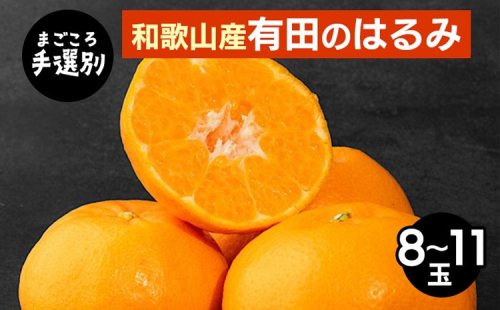 【まごころ手選別】和歌山産　有田のはるみ　8～11玉 ※2026年1月下旬～2月下旬頃より順次発送予定 2155775 - 和歌山県美浜町