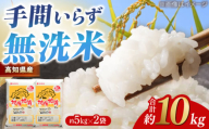 【先行予約】 R7年度産 無洗米 地産地消米 約5kg×2 合計約10kg 〈2025年8月中旬〜発送〉 【高知食糧株式会社】 高知県 高知市 無洗米 精米 お米 白米 ブレンド米 [ATBL003]