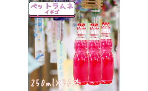 ペットラムネ イチゴ(250ml×30本)【1598130】 2156362 - 宮城県宮城県庁