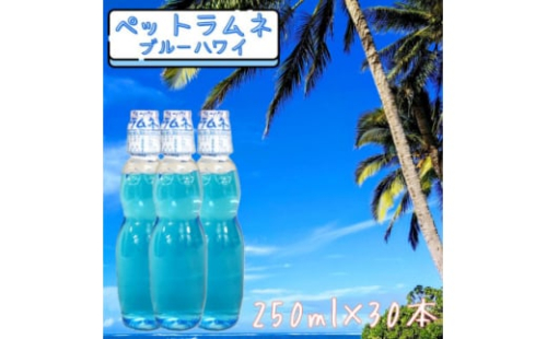 <なつかしい味>ペットラムネ ブルーハワイ(250ml×30本)【1598131】 2156363 - 宮城県宮城県庁