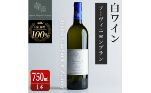 ラセリー美 ソーヴィニヨンブラン 750ml×1本【1599866】 2156365 - 宮城県宮城県庁